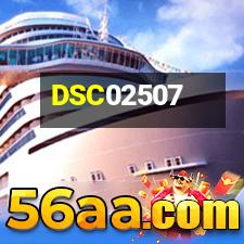 DSC02507